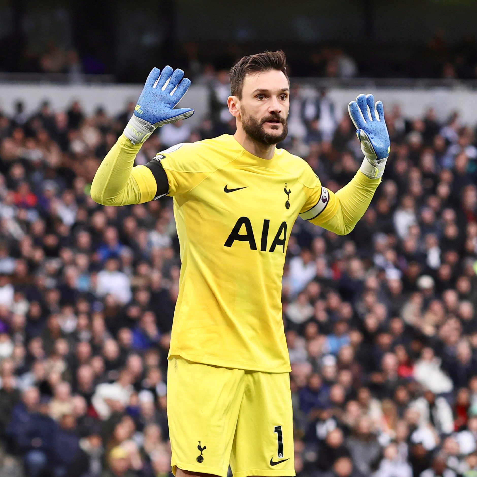 Hugo Lloris holds his hands up