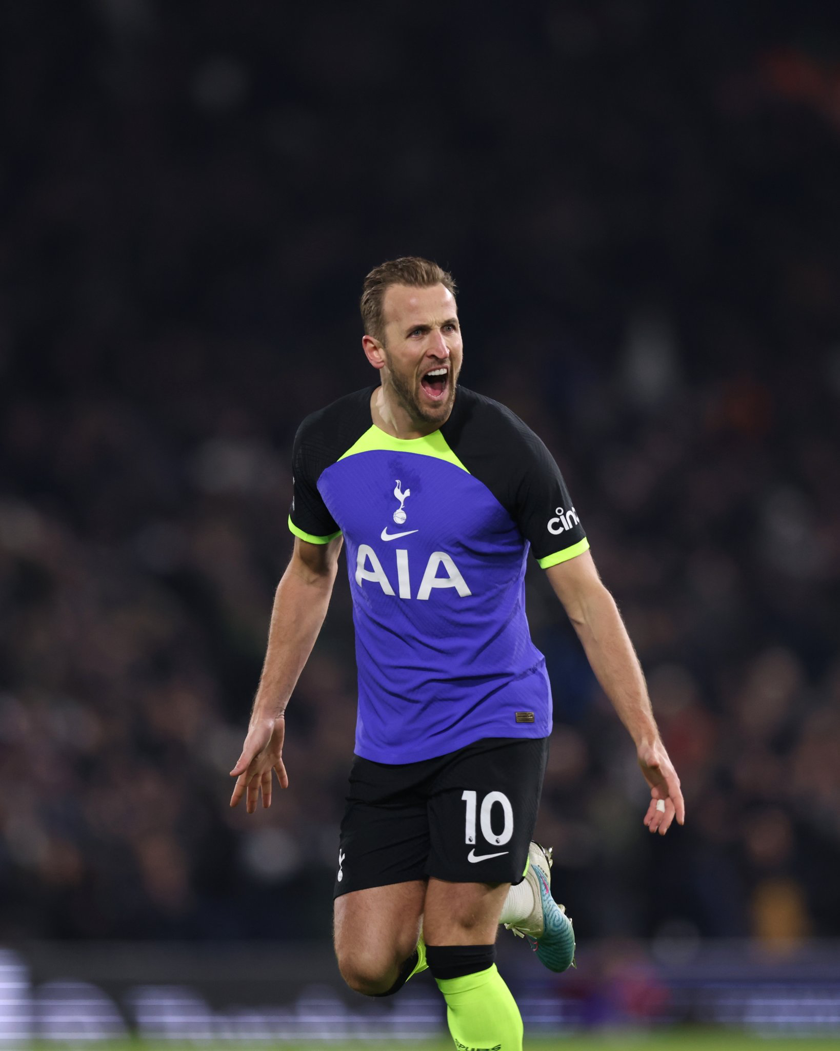 Harry Kane roars in victory after scoring the game-winning goal against Fulham, tying Jimmy Greaves' record.